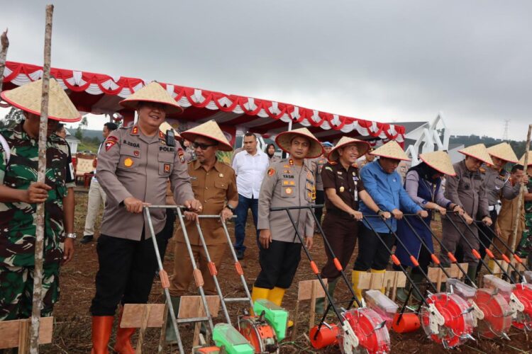Ketahanan Pangan, Brimob Polda Sumut Kolaborasi dengan Berbagai Pihak Tanam Jagung 1 Juta Hektare