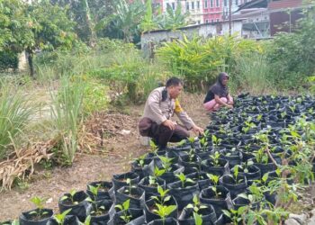 Bhabinkamtibmas Polsek Siantar Utara Sambangi Warga Manfaatkan Pekarangan Dukung Ketahanan Pangan