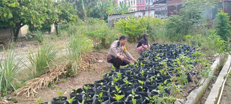 Bhabinkamtibmas Polsek Siantar Utara Sambangi Warga Manfaatkan Pekarangan Dukung Ketahanan Pangan