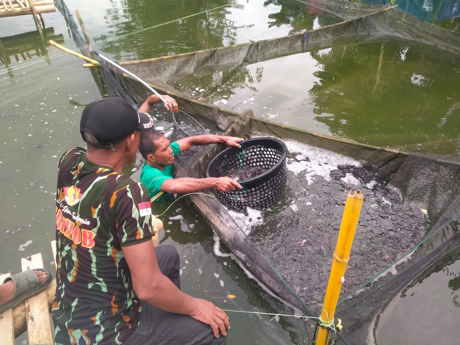 Brimob Polda Sumut Dukung Ketahanan Pangan, Lakukan Penyortiran 40.000 Bibit Ikan Lele di Kompi 2 Batalyon A Pelopor