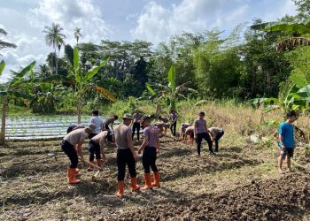 Brimob Polda Sumut Dukung Ketahanan Pangan Melalui Penanaman Bibit Timun di Gunung Sitoli
