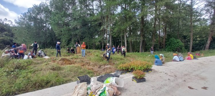 Belasan Oknum Masyarakat Ganggu Operasional TPL Sektor Simalungun