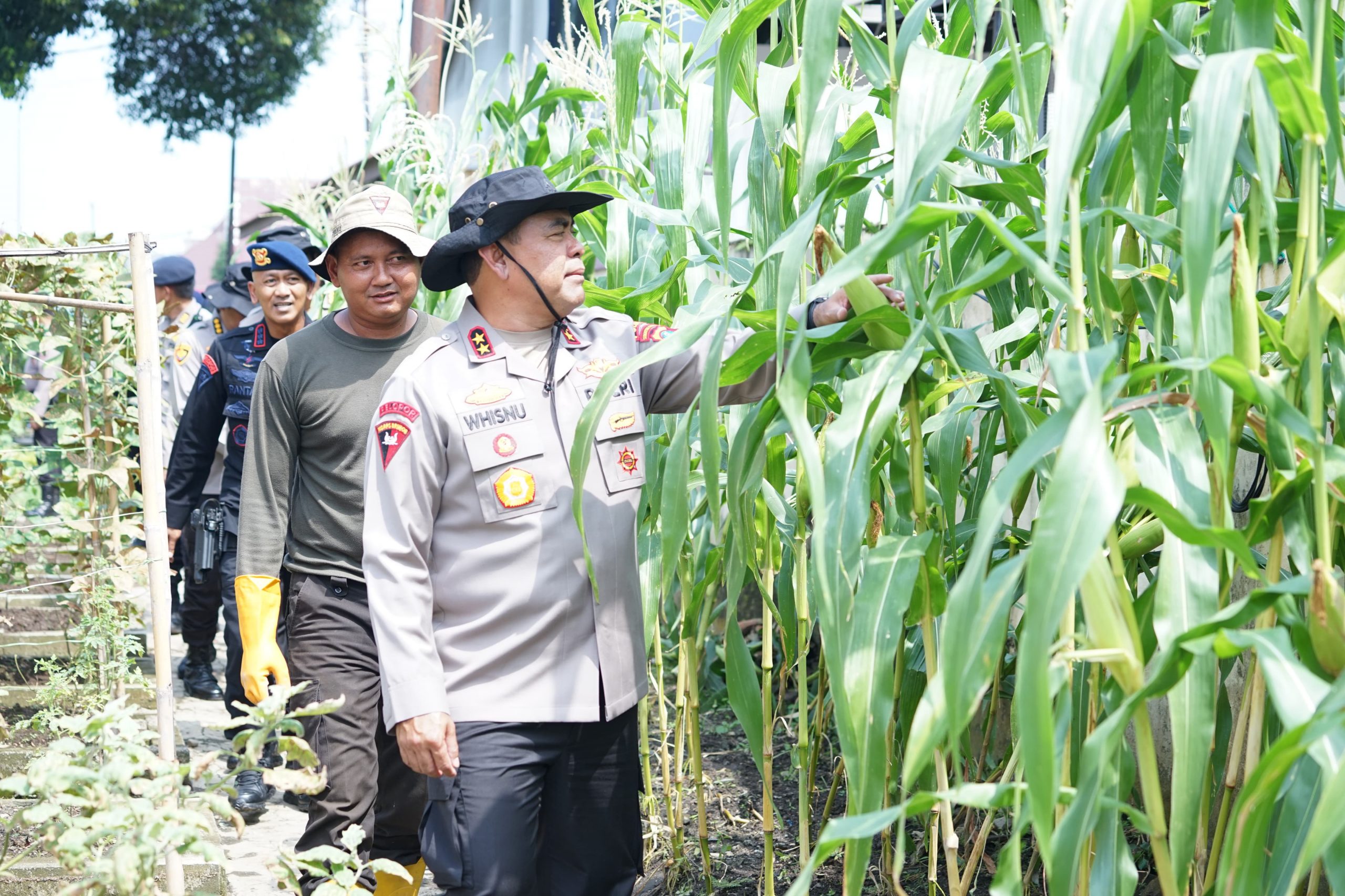 Kapolda Didampingi Dansat Brimob Polda Sumut Lakukan Pengecekan Kebun Ketahanan Pangan Polri 