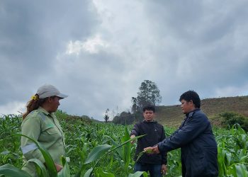PT Toba Pulp Lestari Tetap Menjaga Tanaman Palawija dan Sumber Air Masyarakat Dolok Parmonangan Simalungun