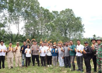 Sekda Pakpak Bharat Hadiri Panen Raya Jagung Tahap I Gugus Tugas POLRI Swasembada Pangan Nasional