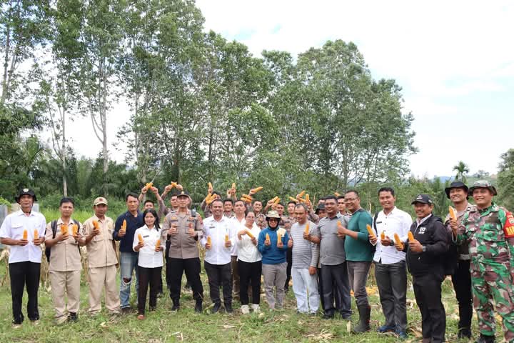 Sekda Pakpak Bharat Hadiri Panen Raya Jagung Tahap I Gugus Tugas POLRI Swasembada Pangan Nasional