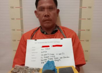 Polres Tapteng Ringkus Nelayan Pengedar Ganja di Aek Tolang