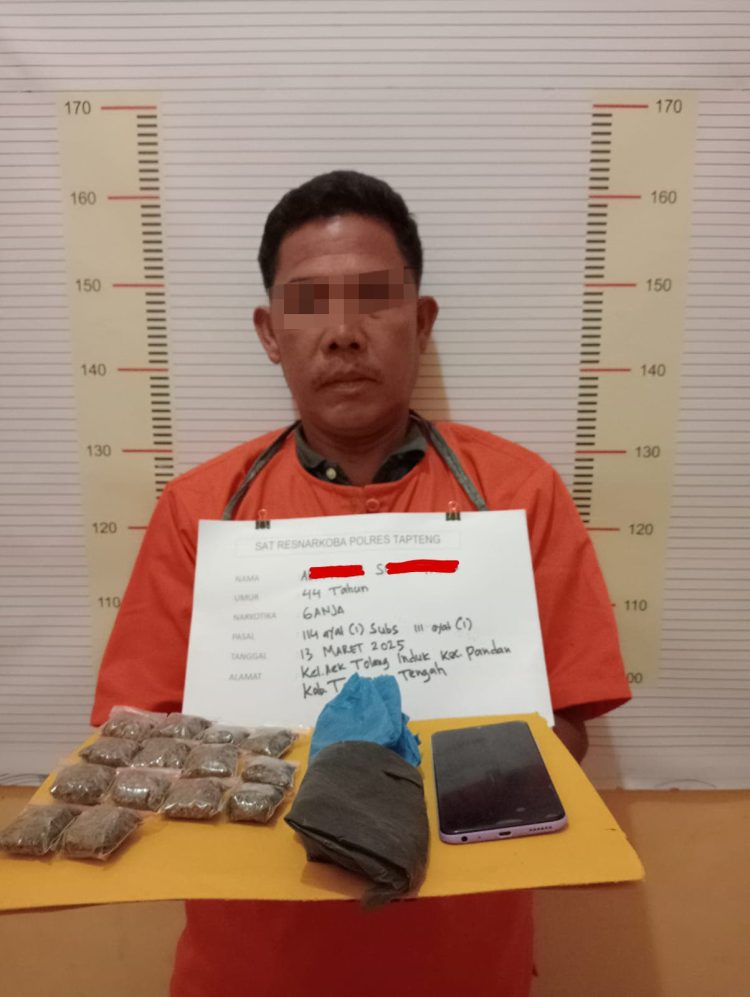 Polres Tapteng Ringkus Nelayan Pengedar Ganja di Aek Tolang