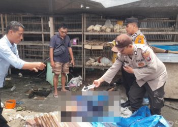 Wakapolres dan Personil Polsek Siantar Marihat Olah TKP Penemuan Mayat di Peternakan Ayam di Simarimbun 