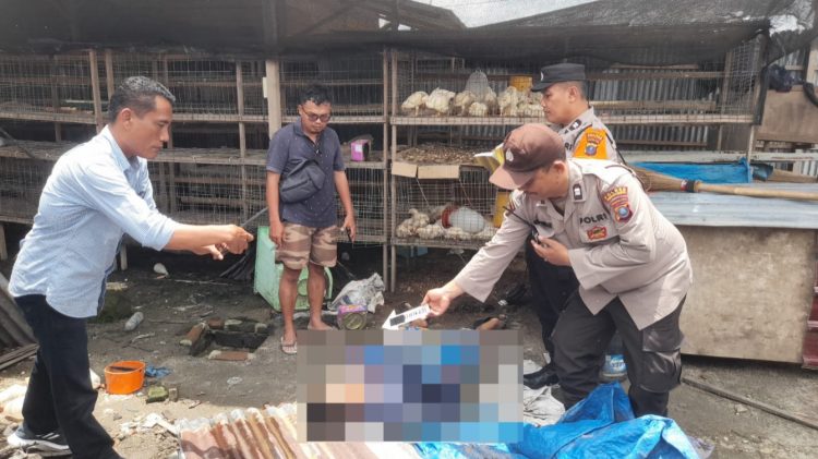 Wakapolres dan Personil Polsek Siantar Marihat Olah TKP Penemuan Mayat di Peternakan Ayam di Simarimbun Wakapolres dan Personil Polsek Siantar Marihat Olah TKP Penemuan Mayat di Peternakan Ayam di Simarimbun