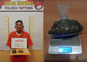 Satresnarkoba Polres Tapteng Tangkap Pengedar Ganja di Tukka