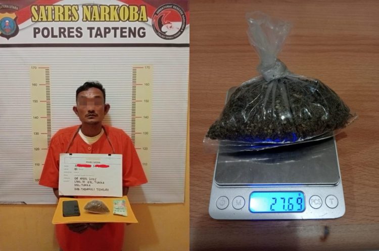 Satresnarkoba Polres Tapteng Tangkap Pengedar Ganja di Tukka