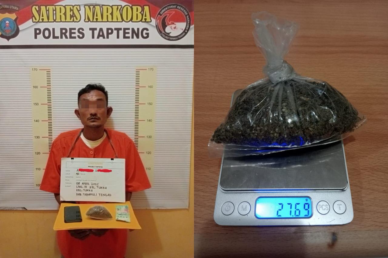 Satresnarkoba Polres Tapteng Tangkap Pengedar Ganja di Tukka Satresnarkoba Polres Tapteng Tangkap Pengedar Ganja di Tukka