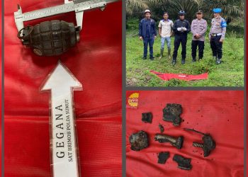 Tim Gegana Brimob Polda Sumut Lakukan Disposal Temuan Granat Tangan di Asahan, Situasi Aman dan Terkendali