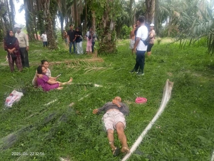 Polsek Tanah Jawa Olah TKP Temuan Mayat Jonres Marindan Sinaga di Perladangan Sawit Simpang Nagojor