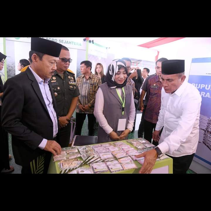 Gubernur Sumut Edy Rahmayadi