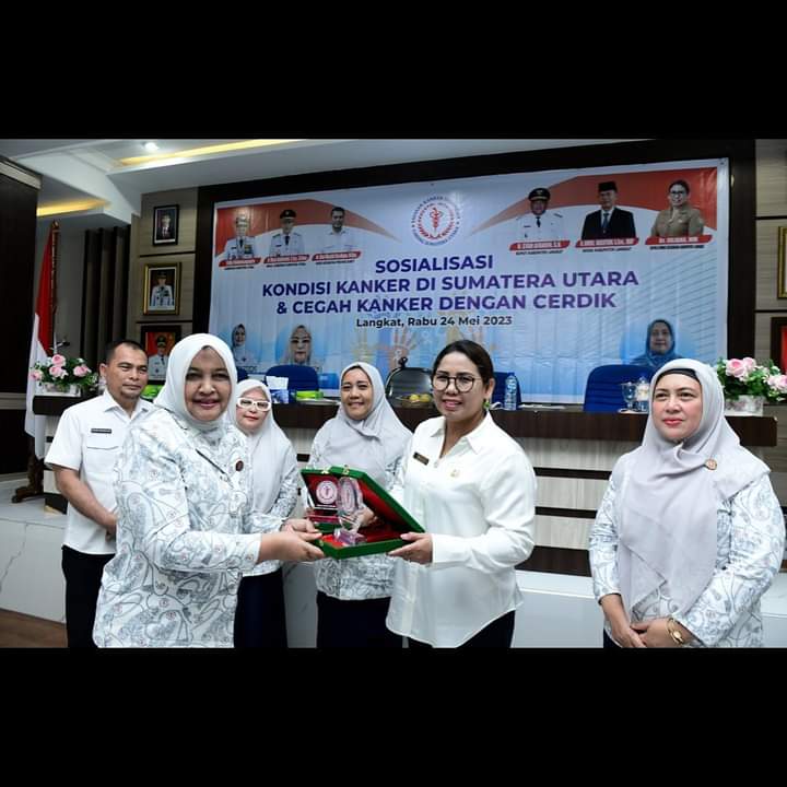 Ketua YPI Sumut Nawal Lubis (photo istimewa)