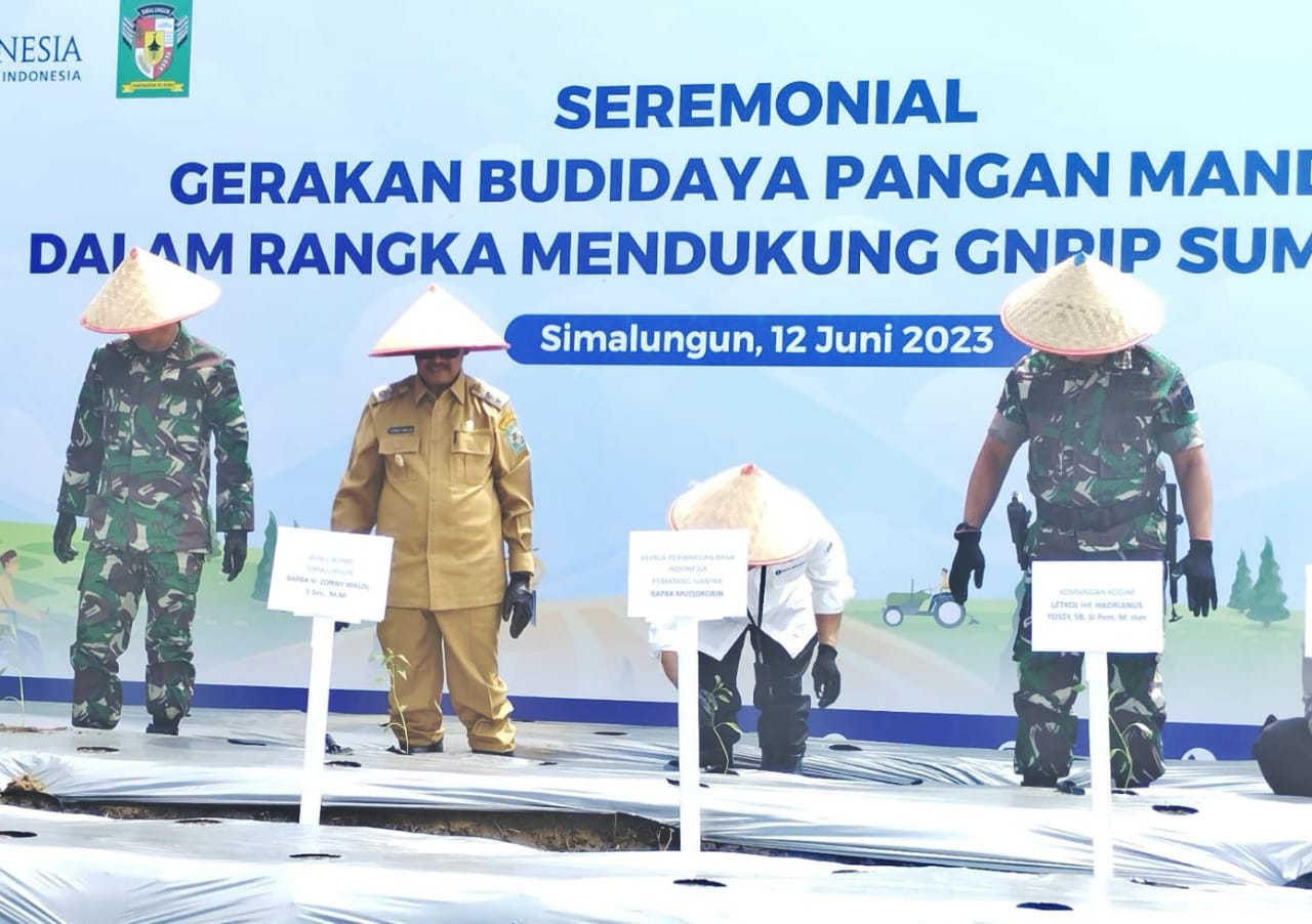 Wabup Simalungun hadiri seremonial Gerakan Budidaya Pangan (photo istimewa)