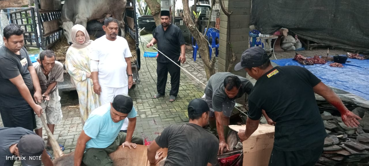 Rahudman Harahap meninjau penyembelihan 3 ekor sapi hewan qurban Idul Adha 1444 H (NSH9)