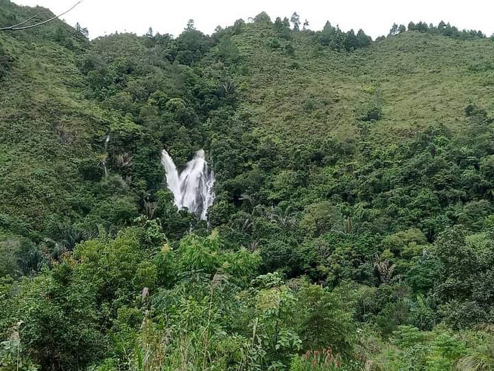 Desa Wisata di Desa Aek Bolon Julu, Memiliki Alam Yang Segar (Aldy)