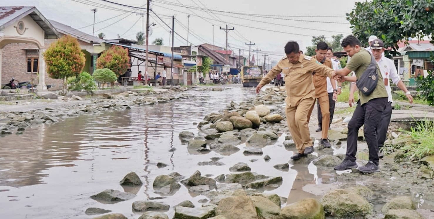 Bupati Radiapoh Hasiholan Sinaga coba mencari tau penyebab badan jalan tergenang air