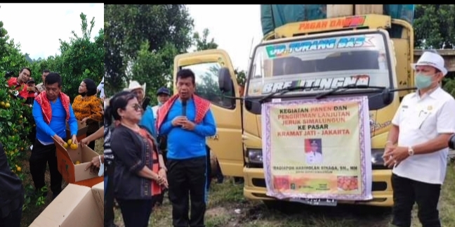 Pemberangkatan Jeruk Simalungun dari Rest Area Purba Tongah 19 April 2022 oleh Bupati Radiapoh Hasiholan Sinaga