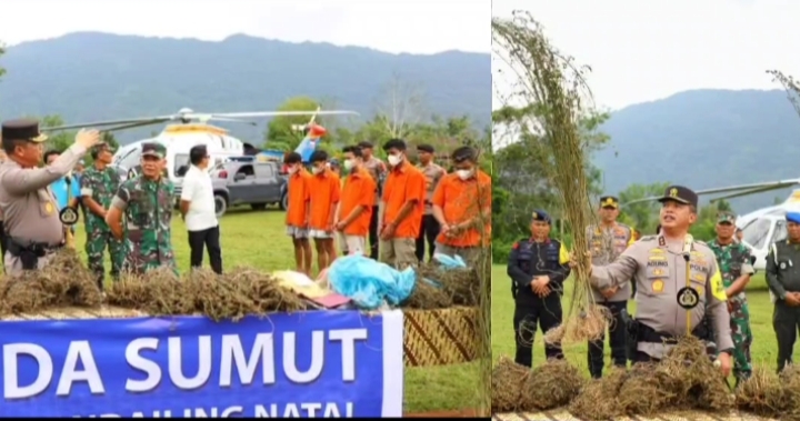 Kapoldasu pertontonkan tanaman ganja dan sejumlah tersangka yang berhasil diamankan