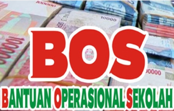 Ilustrasi Bantuan Operasional Sekolah (ist)