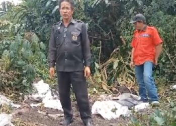 Sagala bersama rekan pasca ke lokasi melakukan investigasi