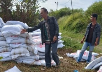 Pengambilan pupuk kompos proyek ketahanan pangan Nagori Huta Saing, Kecamatan Dolok Silou, Simalungun.(Pangulu Huta Saing)