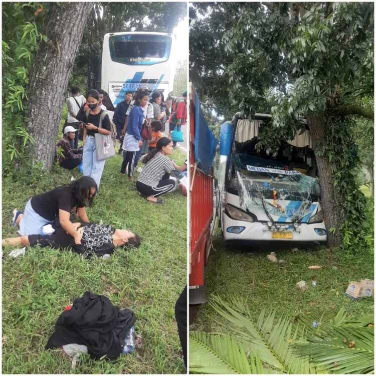 BUS SEJAHTERA UGAL-UGALAN TABRAK POHON DI DOLOK MERANGIR