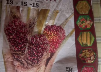 PROGRAM KETAHANAN PANGAN DESA(Nagori) di SIMALUNGUN DIDUGA PAKAI PUPUK PALSU