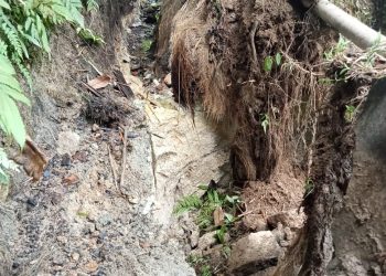 SALURAN IRIGASI PRIMER NAGORI LUMBAN GORAT JEBOL, PETANI MENJERIT MINTA PEMKAB SEGERA PERBAIKI