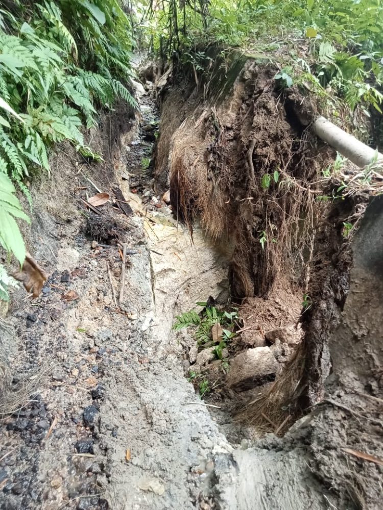 SALURAN IRIGASI PRIMER NAGORI LUMBAN GORAT JEBOL, PETANI MENJERIT MINTA PEMKAB SEGERA PERBAIKI