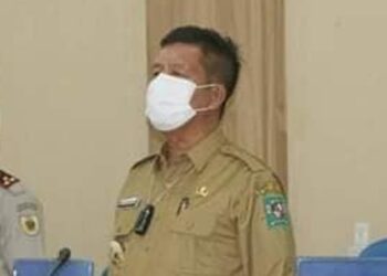 Radiapoh Hasiholan Sinaga