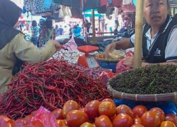 Pedagang di Pasar Horas