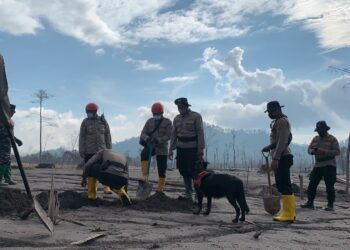 Proses pencarian korban erupsi Gunung Semeru