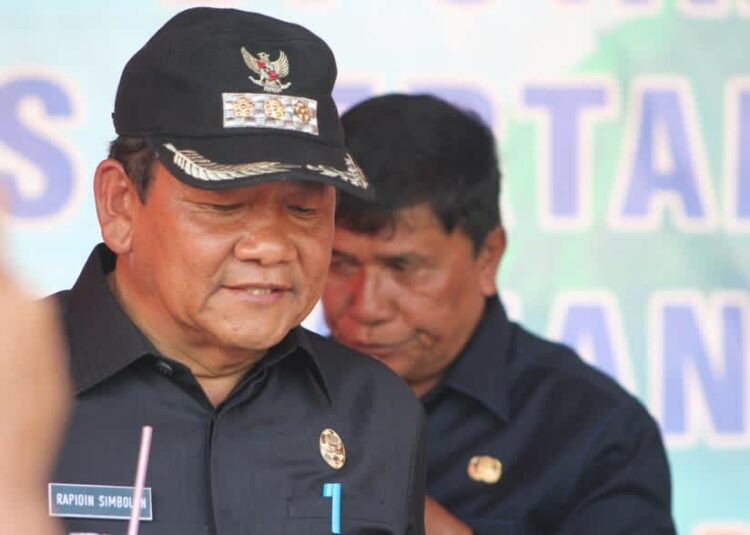 Bupati Kabupaten Samosir, Rapidin Simbolon