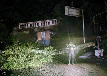 Pohon tumbang menutup jalur lalu lintas dari Toba menuju Kota Pematangsiantar di Parapat. (Nawasenanews/ Ist)