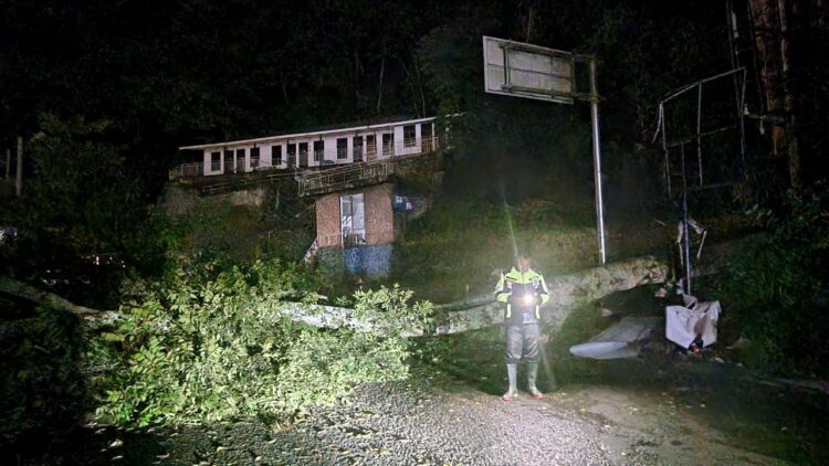 Pohon tumbang menutup jalur lalu lintas dari Toba menuju Kota Pematangsiantar di Parapat. (Nawasenanews/ Ist)