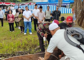 Kapolres dan Wakapolres Simalungun menyaksikan sapi kurban disembelih di halaman Lantas Polres Simalungun, Senin (17/06/2024).(Nawasenanews/ Ist)