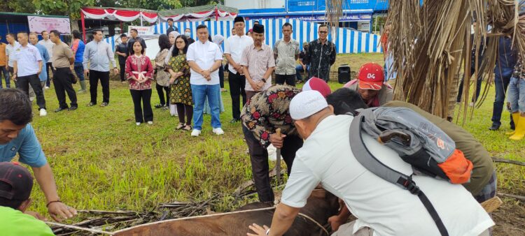 Kapolres dan Wakapolres Simalungun menyaksikan sapi kurban disembelih di halaman Lantas Polres Simalungun, Senin (17/06/2024).(Nawasenanews/ Ist)