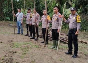 Polsek Bosar Maligas mengembangkan lahan jagung di sekitar asrama rumah dinas Polsek untuk mendukung Program Ketahanan Pangan Presiden Prabowo.( Nawasenanews/ Ist)