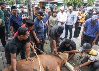 Ketua TP PKK Kota Pematangsiantar Ny Liswati Wesly Silalahi menyerahkan seekor sapi kurban keluarga besar Wesly Silalahi ke Dewan Pimpinan Majelis Ulama Indonesia (DP MUI) Pematangsiantar untuk dibagikan ke masyarakat.( Ist/ Nawasenanews)