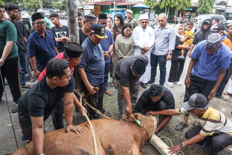 Ketua TP PKK Kota Pematangsiantar Ny Liswati Wesly Silalahi menyerahkan seekor sapi kurban keluarga besar Wesly Silalahi ke Dewan Pimpinan Majelis Ulama Indonesia (DP MUI) Pematangsiantar untuk dibagikan ke masyarakat.( Ist/ Nawasenanews)