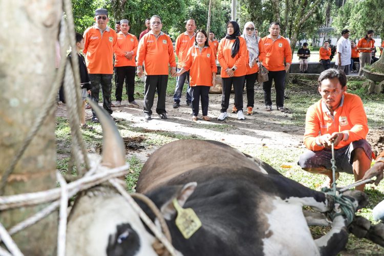 Wali Kota Pematangsiantar Wesly Silalahi SH MKn dan Ketua TP PKK Ny Liswati Wesly Silalahi menyaksikan langsung penyembelihan hewan kurban dalam rangka Hari Raya Idul Adha 1446 H/2025 M.( Ist/ Nawasenanews)