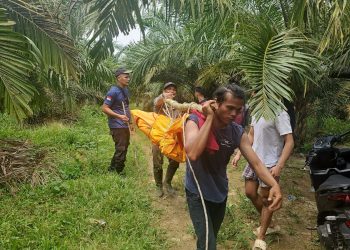 Kapolsek Tanah Jawa Kompol Asmon Bufitra memimpin langsung operasi evakuasi mayat seorang warga yang ditemukan terapung di Sungai Tongguran, Blok 18 Nagori Tangga Batu, Kecamatan Hatonduhan, Kabupaten Simalungun. (Nawasenanews/ Ist)