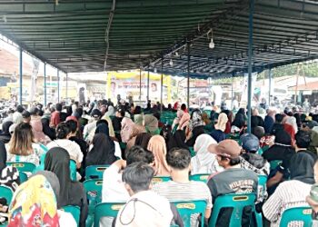 Himbau Anak Tidak di Lokasi Kampanye, Tim Mangatas Silalahi dan Ade Purba Taat Azas