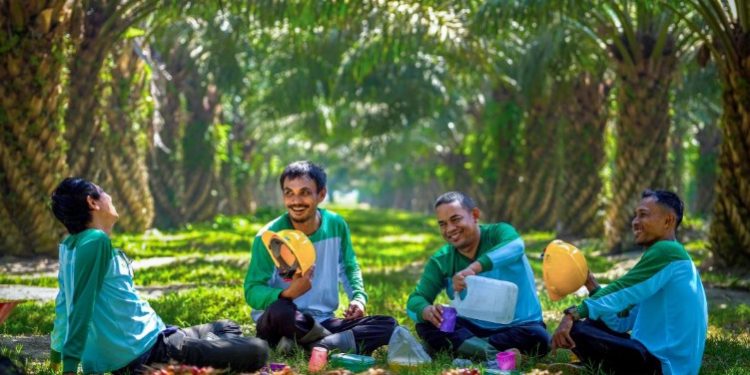 PalmCo Serap 70 Ribu Pekerja, Ekspansi Hilirisasi Buka Peluang Baru