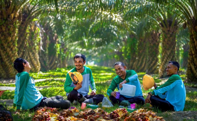 PalmCo Serap 70 Ribu Pekerja, Ekspansi Hilirisasi Buka Peluang Baru